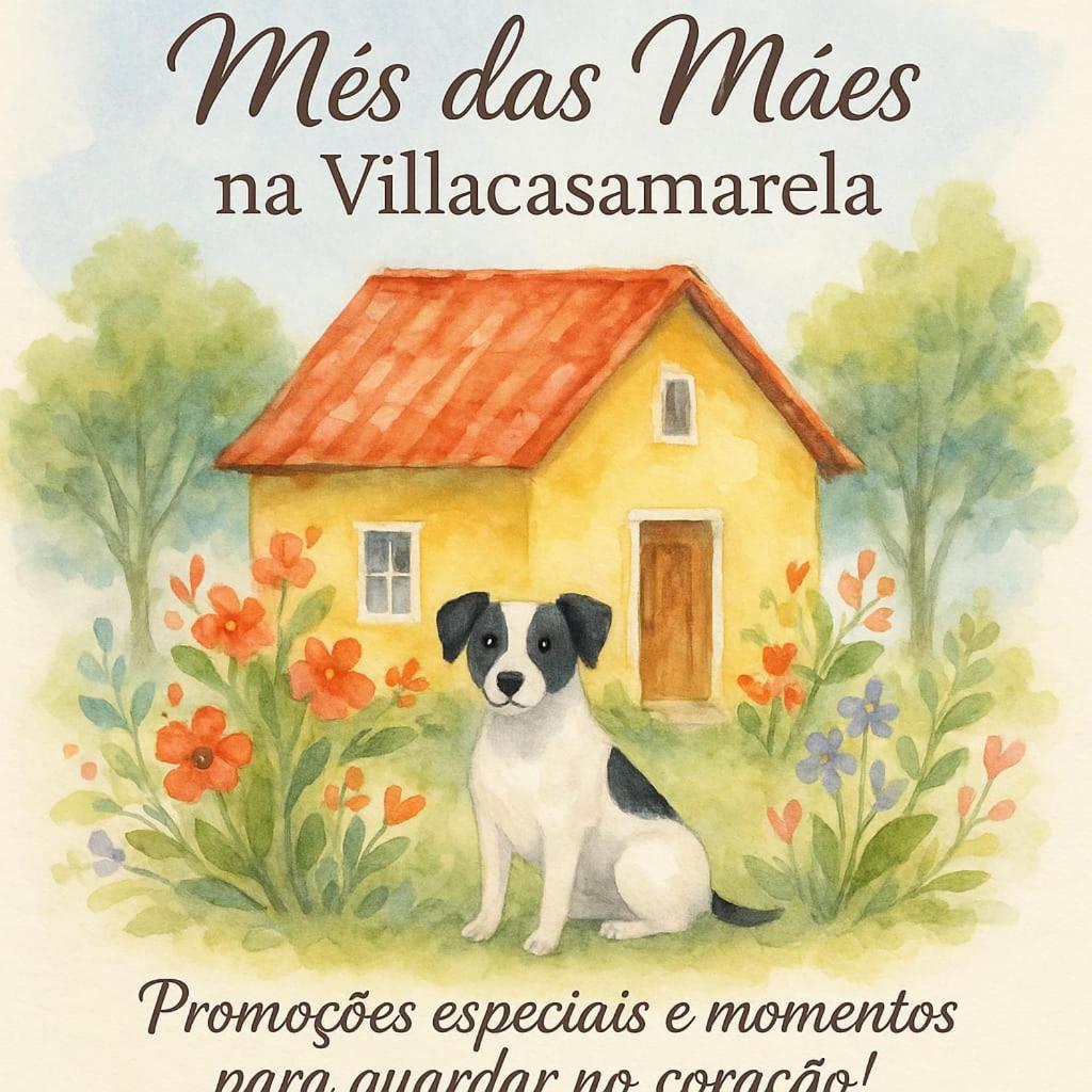 Villacasamarela Mini Casinhas De Hospedes Rio Vermelho Florianópolis Eksteriør bilde